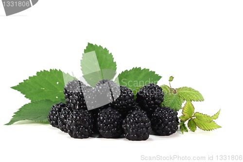 Image of Blackberries