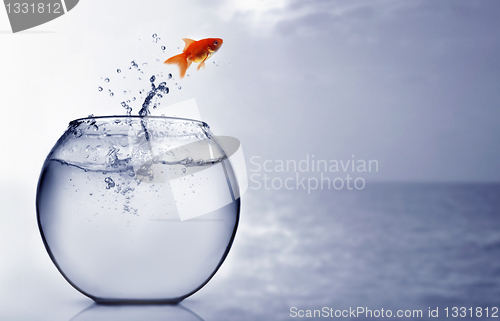 Image of Goldfish jumping into the sea