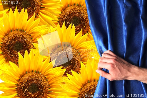 Image of flowers