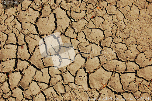 Image of dry soil