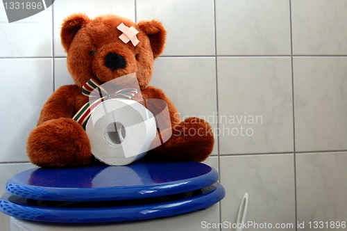 Image of toy teddy bear on wc toilet