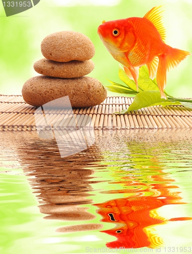 Image of zen or spa