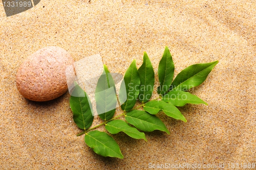 Image of zen stone and leaf