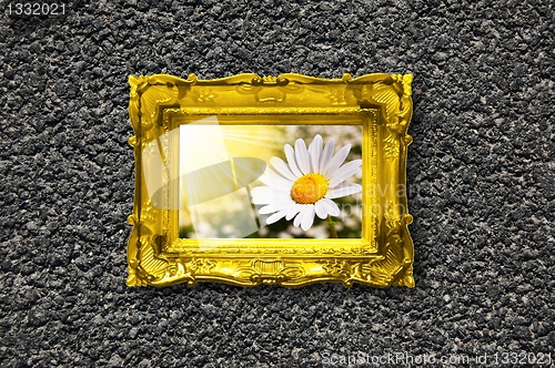 Image of flowers and image frame on wall