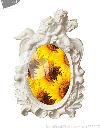 Image of summer flowers