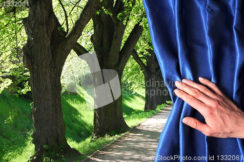 Image of landscape behind blue curtain