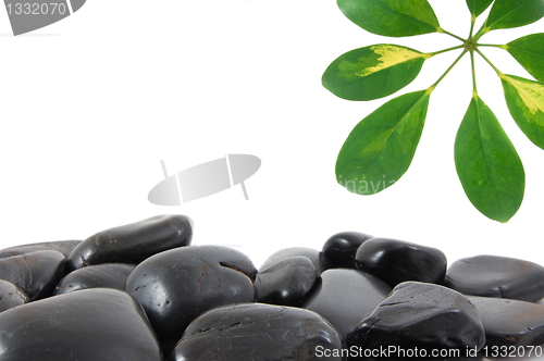 Image of stones and leaf