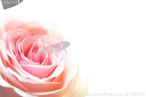 Image of flowers