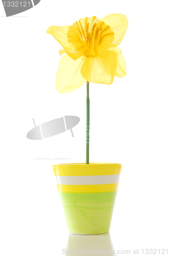 Image of flower in pot
