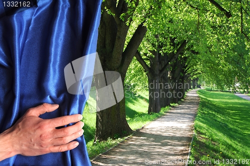 Image of park and blue curtain