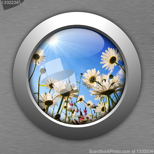 Image of flower