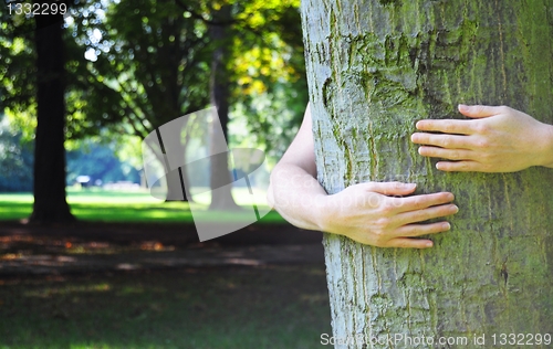 Image of ecology