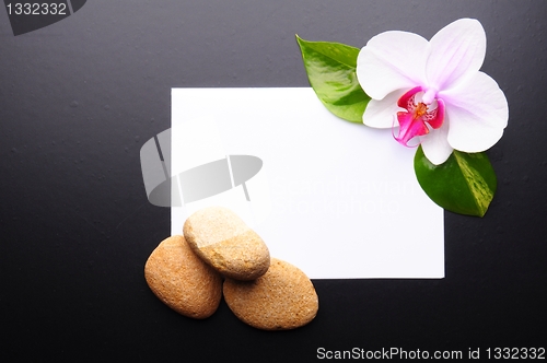 Image of zen or spa
