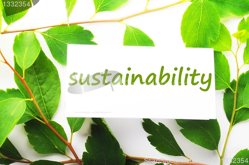 Image of sustainability