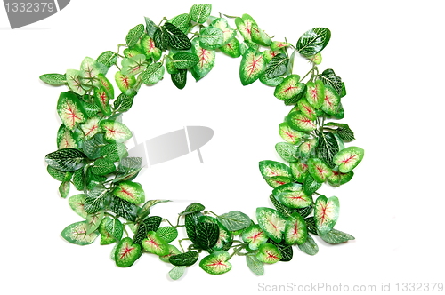 Image of border of leaves