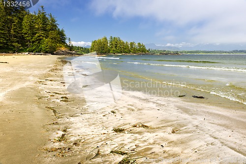 Image of Coast of Pacific ocean, Vancouver Island, Canada