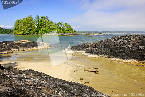 Image of Coast of Pacific ocean, Vancouver Island, Canada