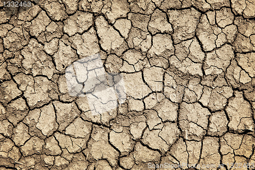 Image of Dry cracked ground during drought