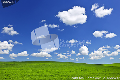 Image of Green rolling hills under blue sky