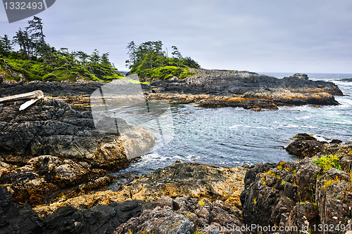 Image of Coast of Pacific ocean, Vancouver Island, Canada