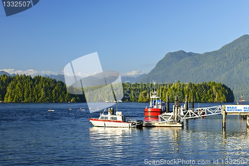 Image of Boats at dock in Tofino, Vancouver Island, Canada