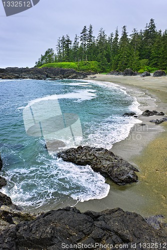 Image of Coast of Pacific ocean in Canada