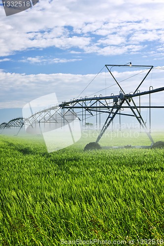 Image of Irrigation equipment on farm field