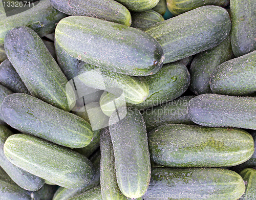 Image of Cucumbers