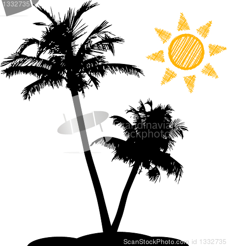 Image of Palm trees