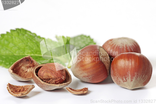 Image of hazelnuts