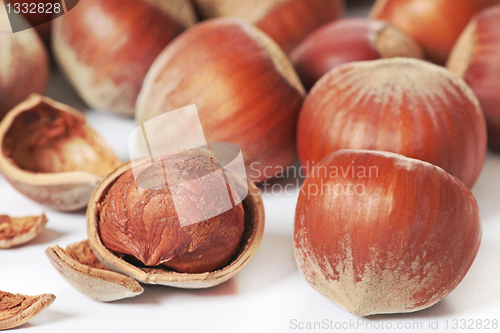 Image of hazelnuts