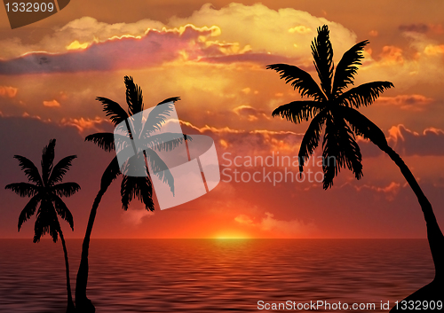 Image of Palm trees silhouette at sunset