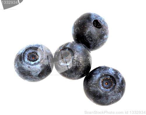 Image of Blueberries