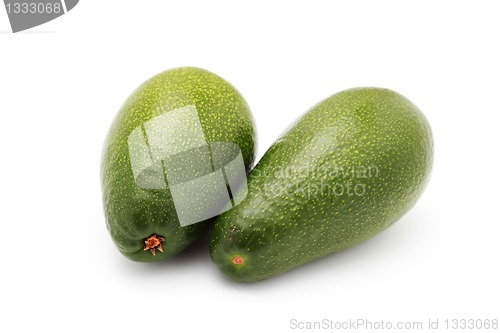 Image of avocado fruits