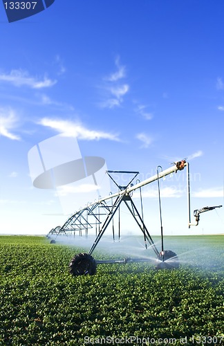 Image of Pivot spray