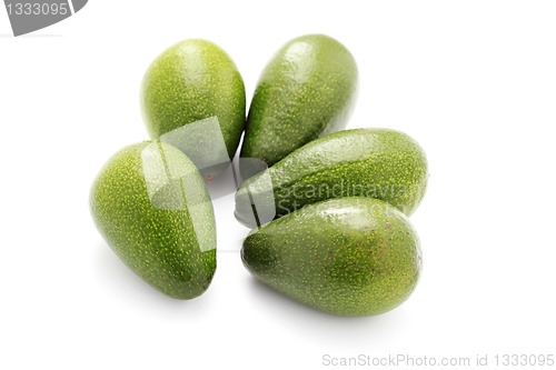 Image of avocado fruits