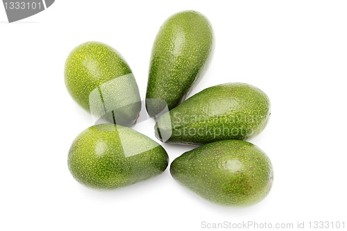 Image of avocado fruits