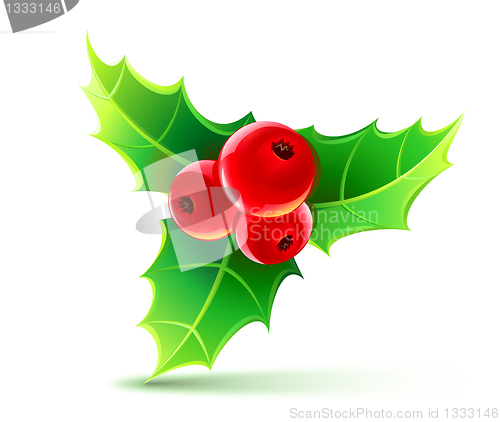 Image of holly leaves and berries