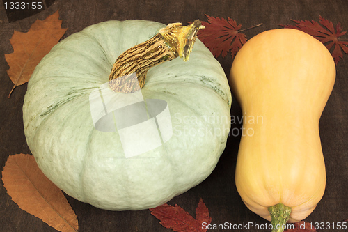 Image of Pumpkins.