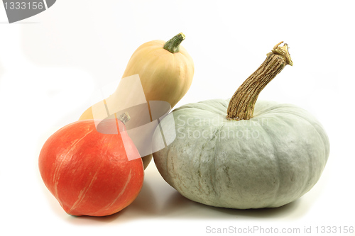 Image of Pumpkins.