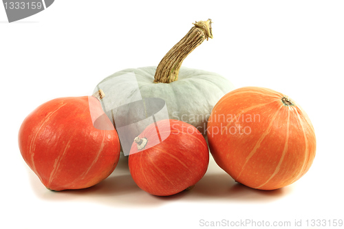 Image of Pumpkins isolated