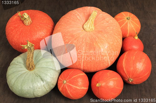 Image of Pumpkins.