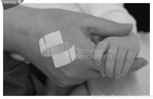 Image of A mother's hand