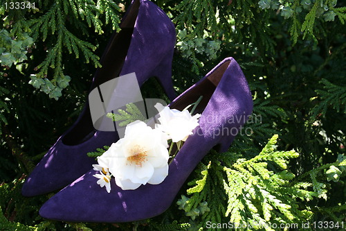 Image of Lilac pumps