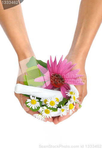 Image of Young  woman holding mortar with herbs – Echinacea, ginkgo, chamomile