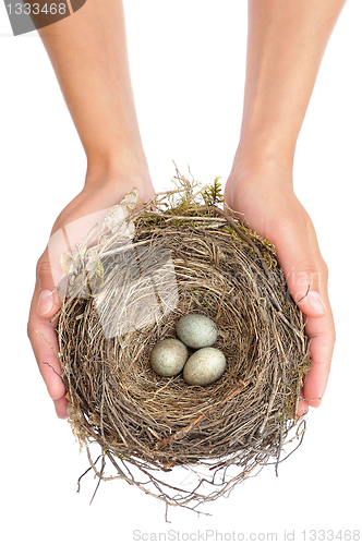 Image of Young woman holding blackbird nest over white background