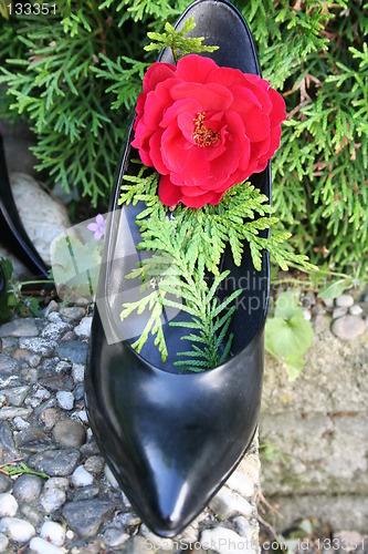 Image of Black pumps with red rose
