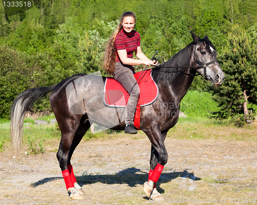 Image of The girl on the black stallion
