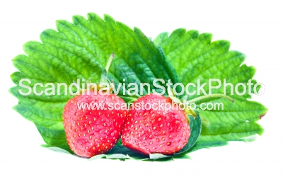 Image of Strawberry (isolated)