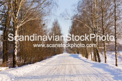 Image of Winter road